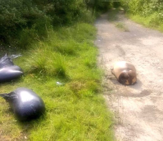 Dejan una docena de cuerpos descuartizados en zona en disputa entre el CJNG y Los Zetas