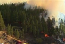 Desalojan a los vecinos de 12 barrios cercanos al incendio de Gran Canaria (Vídeo)