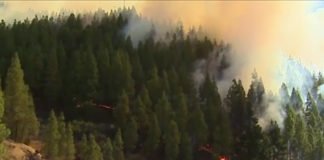 Desalojan a los vecinos de 12 barrios cercanos al incendio de Gran Canaria (Vídeo)