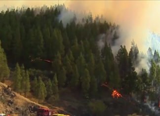 Desalojan a los vecinos de 12 barrios cercanos al incendio de Gran Canaria (Vídeo)