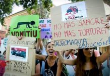 Los toros vuelven a Mallorca al ritmo del ‘Cara al Sol’ ¿se trataría de una infracción contra la Ley de Memoria histórica?