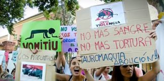 Los toros vuelven a Mallorca al ritmo del ‘Cara al Sol’ ¿se trataría de una infracción contra la Ley de Memoria histórica?