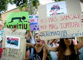 Los toros vuelven a Mallorca al ritmo del ‘Cara al Sol’ ¿se trataría de una infracción contra la Ley de Memoria histórica?
