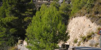 La Diputación destina una limosna de su presupuesto anual para mejorar las carreteras alicantinas