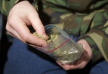 Nueva York despenaliza el consumo individual de marihuana hasta 57 gramos por persona