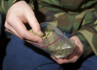 Nueva York despenaliza el consumo individual de marihuana hasta 57 gramos por persona