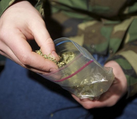 Nueva York despenaliza el consumo individual de marihuana hasta 57 gramos por persona