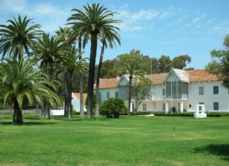 Pedro Sánchez demuestra que es un irresponsable marchándose a Doñana de vacaciones teniendo a España patas arriba