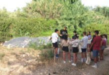 El Rio Algar recibe en Altea al voluntariado ambiental «De Amicitia» para labores de mejora de su cauce