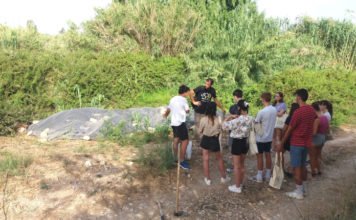 El Rio Algar recibe en Altea al voluntariado ambiental «De Amicitia» para labores de mejora de su cauce