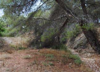 La falta de limpieza en los cauces es la clave en la tragedia de la gota fría de estos días