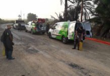 Elche declara la guerra a los mosquitos aparecidos a raíz del paso de la gota fría