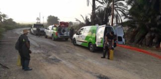 Elche declara la guerra a los mosquitos aparecidos a raíz del paso de la gota fría