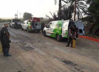 Elche declara la guerra a los mosquitos aparecidos a raíz del paso de la gota fría