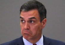 Pedro Sánchez ofrece cogobernanza a Podemos «instituciones relevantes que completan al Gobierno»