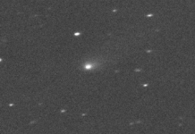 El cometa que nos visita desde muy lejos. El cometa C / 2019 Q4 está fotografiado por el Telescopio Canadá-Francia-Hawái en la Isla Grande de Hawái el 10 de septiembre de 2019. NASA / JPL / Telescopio Canadá-Francia-Hawái