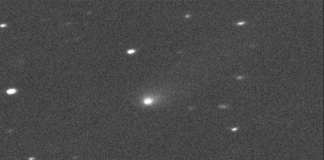 El cometa que nos visita desde muy lejos. El cometa C / 2019 Q4 está fotografiado por el Telescopio Canadá-Francia-Hawái en la Isla Grande de Hawái el 10 de septiembre de 2019. NASA / JPL / Telescopio Canadá-Francia-Hawái