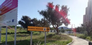 La «intermodal» de Benidorm empieza a emular al resto de la ciudad con un abandono vergonzante desde el gobierno del Partido Popular