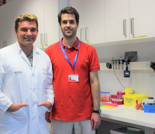 La Fe de Valencia participa en investigaciones de cáncer de pulmón ajenas a fumadores