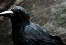 10 videojuegos para pasarlo de «miedo» en la noche de Halloween