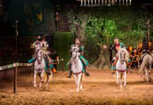 El Torneo Medieval del Castillo Conde de Alfaz cerrará temporada en noviembre con un “Halloween” especial después de superar los 30.000 visitantes este año