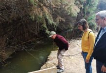 Elche repara los senderos que conforman la «Ruta del Pantano»