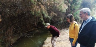 Elche repara los senderos que conforman la «Ruta del Pantano»