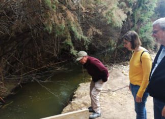 Elche repara los senderos que conforman la «Ruta del Pantano»