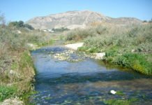 Ximo Puig y Mónica Oltra aprueban gastar 102.250 euros por un «informe» del Río Vinalopó