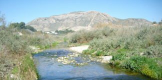 Ximo Puig y Mónica Oltra aprueban gastar 102.250 euros por un «informe» del Río Vinalopó