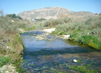 Ximo Puig y Mónica Oltra aprueban gastar 102.250 euros por un «informe» del Río Vinalopó