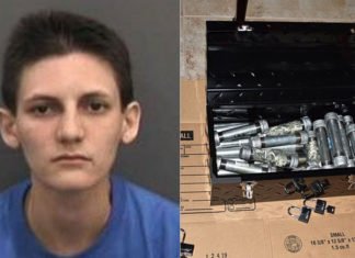 Una joven del Estado de Florida es detenida por acumular en su casa veinticuatro bombas destructivas