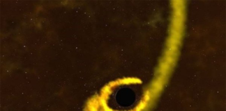 En el acto: Agujero negro desgarra una estrella