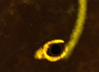 En el acto: Agujero negro desgarra una estrella