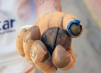 La Generalitat pone en marcha una nueva edición del programa «Pilota a l´escola» en casi 700 centros