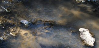 La Generalitat facilita a Alicante una mejora en la depuración de sus aguas fecales