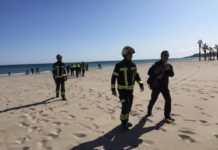 Bomberos y Policía Local de Alicante rescatan a un ejemplar exclusivo de buitre leonado en la Playa de San Juan