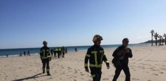 Bomberos y Policía Local de Alicante rescatan a un ejemplar exclusivo de buitre leonado en la Playa de San Juan