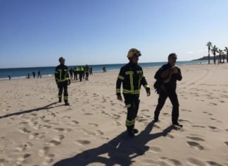 Bomberos y Policía Local de Alicante rescatan a un ejemplar exclusivo de buitre leonado en la Playa de San Juan