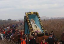 La Consellería de Medio Ambiente pretende que La Venida de la Virgen en Elche no se realice como se viene haciendo desde hace siglos