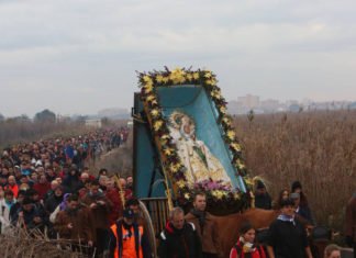 La Consellería de Medio Ambiente pretende que La Venida de la Virgen en Elche no se realice como se viene haciendo desde hace siglos
