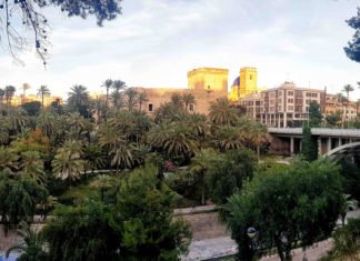 Vox Elche también muestra síntomas de irresponsabilidades que puede hacerlo estallar por los aires