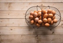 Nace el huevo artificial sin necesidad de ser puesto por una gallina