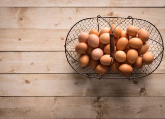 Nace el huevo artificial sin necesidad de ser puesto por una gallina