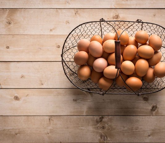 Nace el huevo artificial sin necesidad de ser puesto por una gallina
