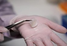 Científicos de Singapur producen piel humana «in vitro»