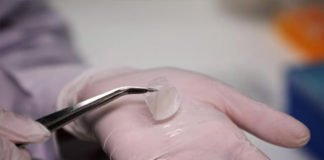 Científicos de Singapur producen piel humana «in vitro»