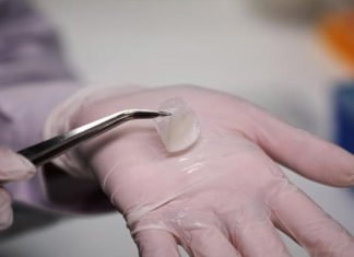 Científicos de Singapur producen piel humana «in vitro»