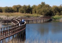 Los Parques Nacionales de Cabañeros y Las Tablas de Daimiel reciben apoyo económico para su conservación