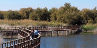 Los Parques Nacionales de Cabañeros y Las Tablas de Daimiel reciben apoyo económico para su conservación